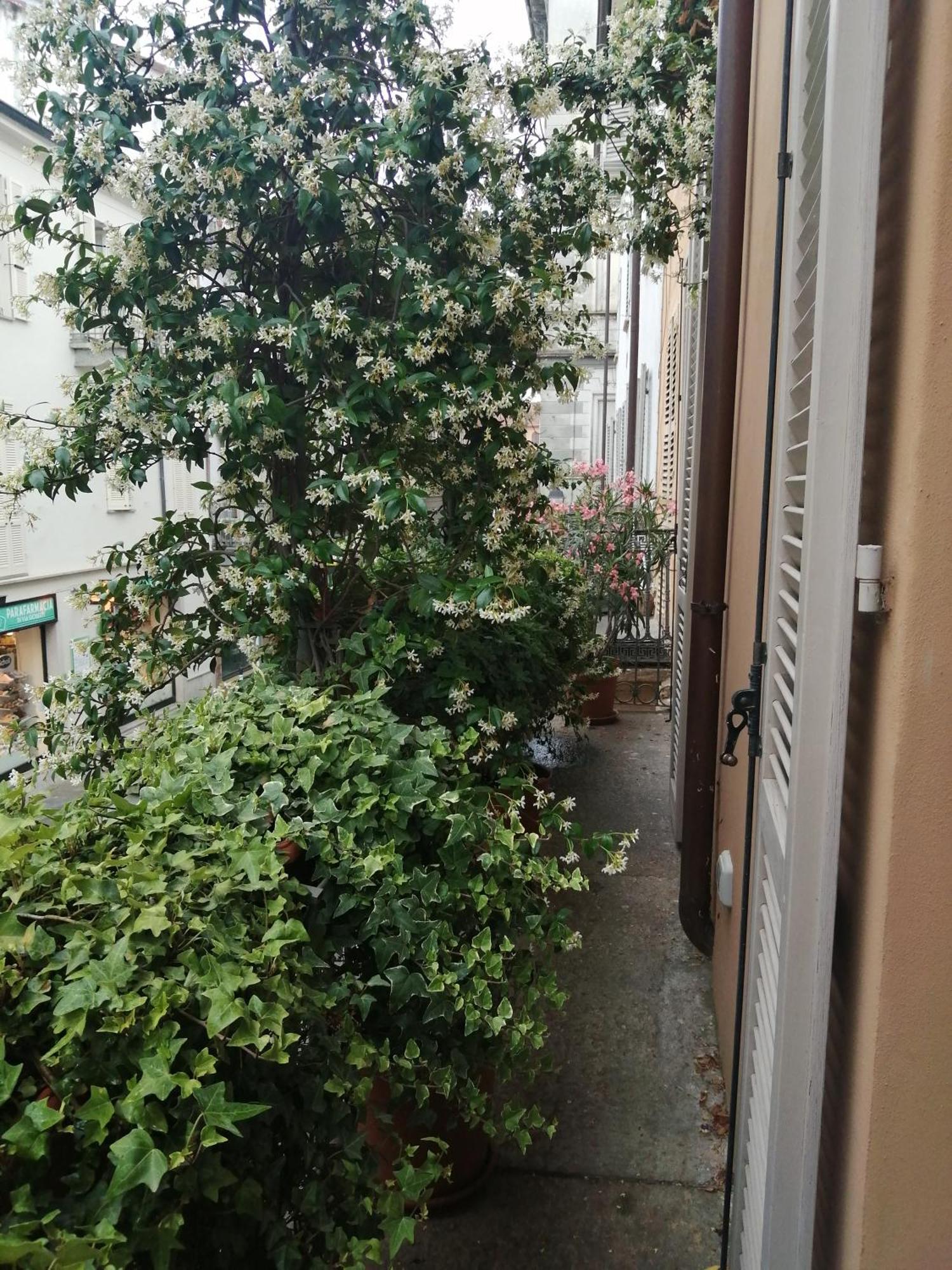 Le Melusine Apartment Vercelli Exterior photo